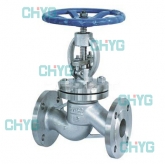 Q41W stainless steel globe valve