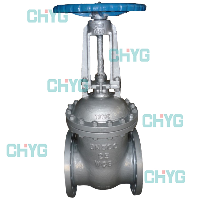 Stainless steel gate valve