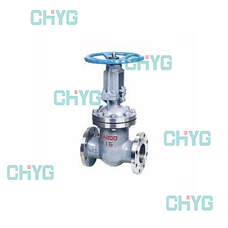 Cast steel gate valves