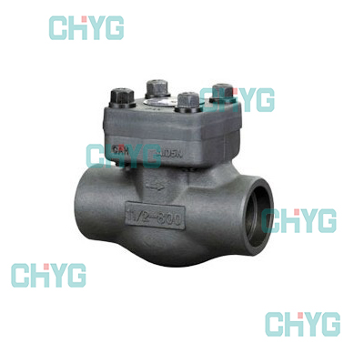 The check valve