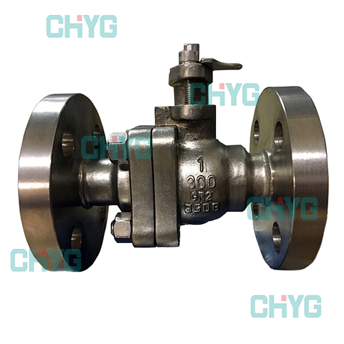 Titanium hard sealing ball valves